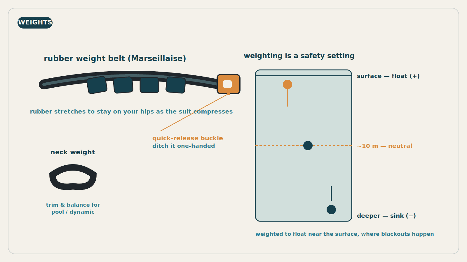 Diagram of a rubber Marseillaise weight belt with lead blocks and a quick-release buckle, a neck weight, and a water column showing a diver floating at the surface, neutral around 10 meters, and sinking when deeper
