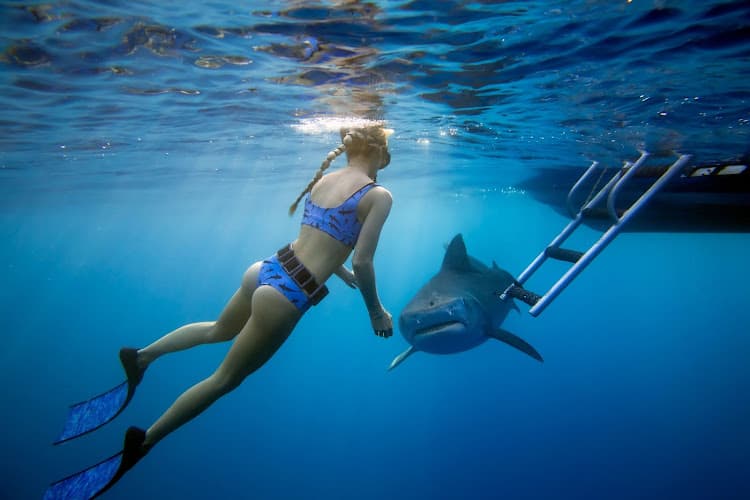 One Ocean Diving photo