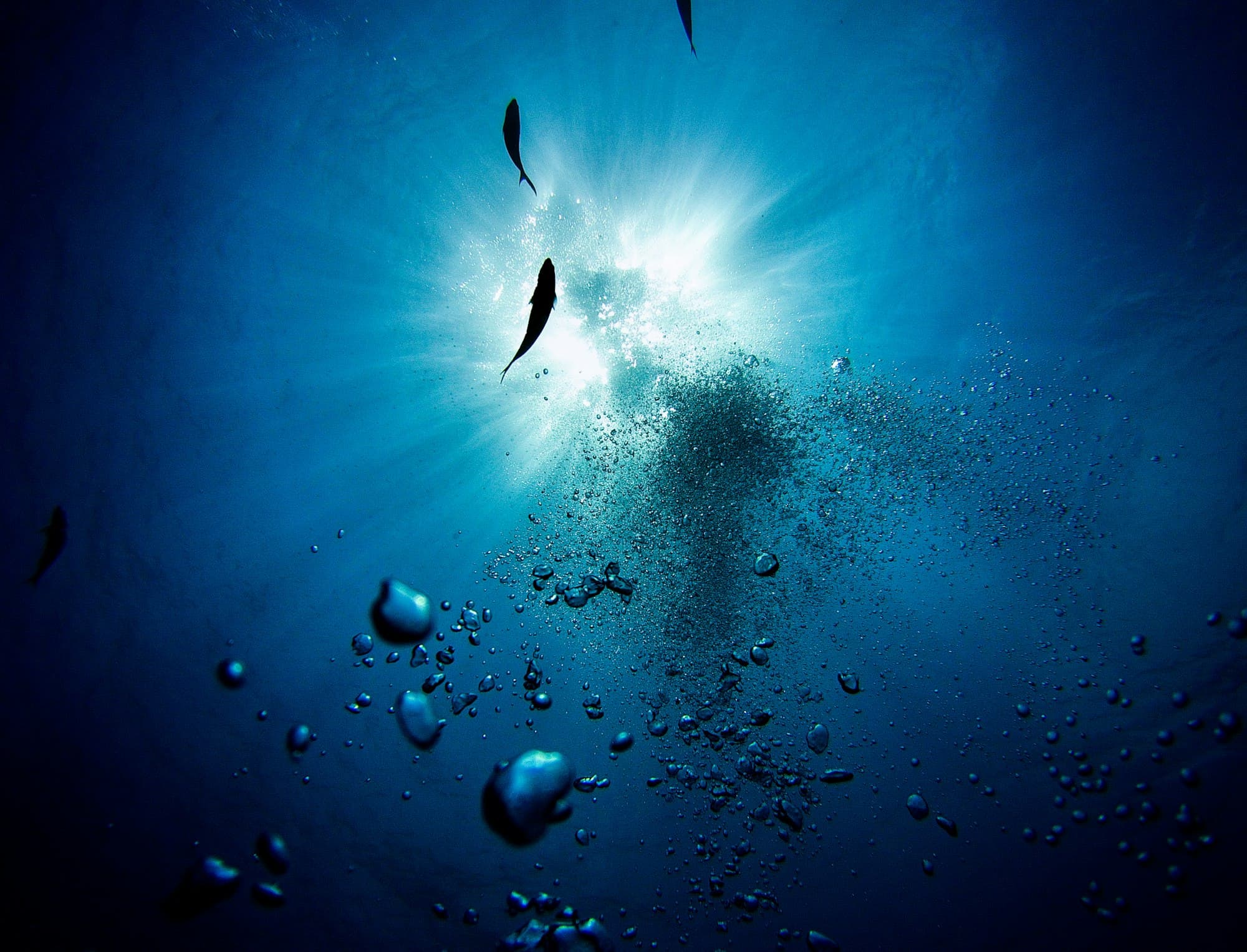 Shafts of sunlight scattering into deep blue water