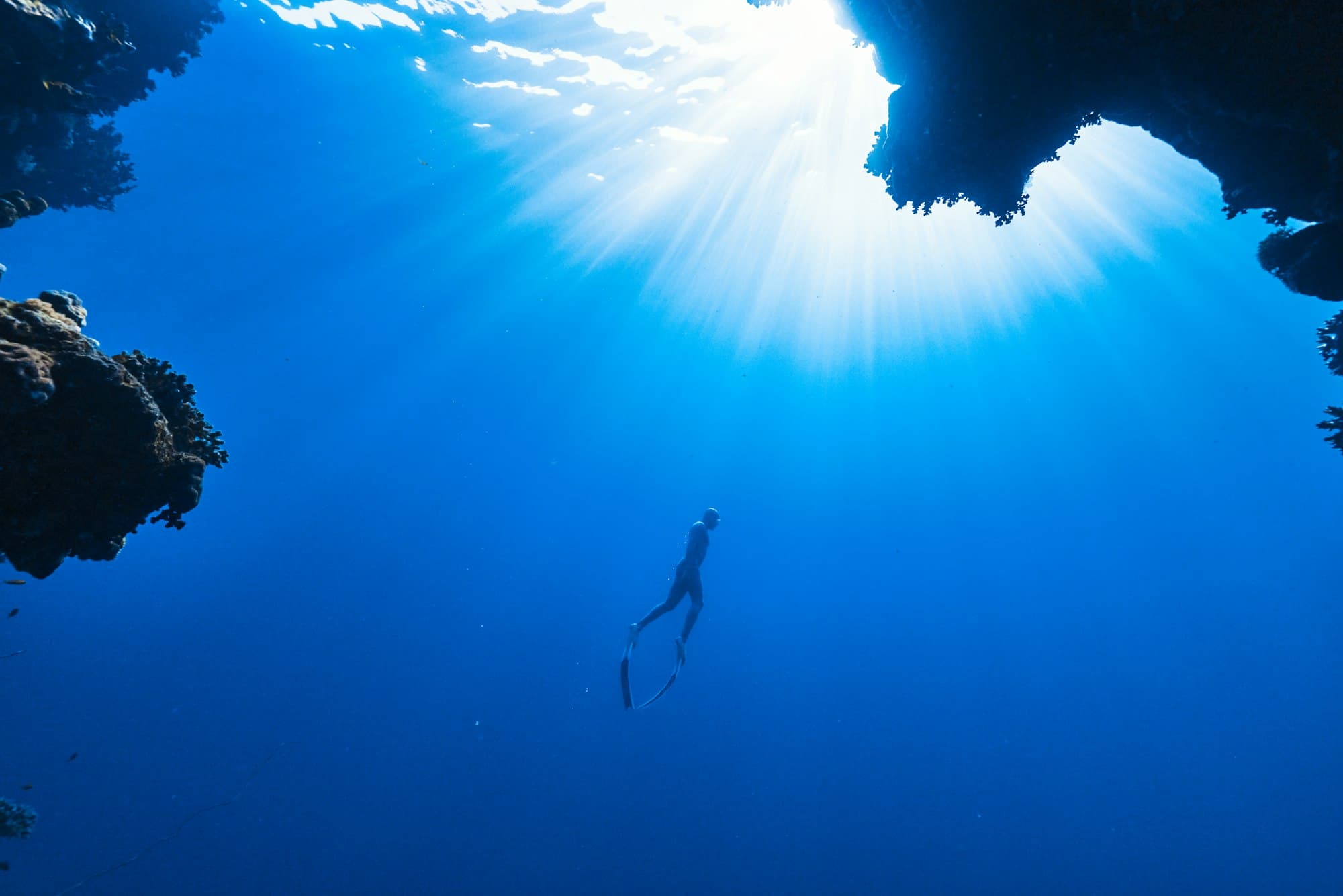 A freediver descending headfirst into deep blue water on a single breath